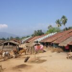 Tribal village in Odisha
