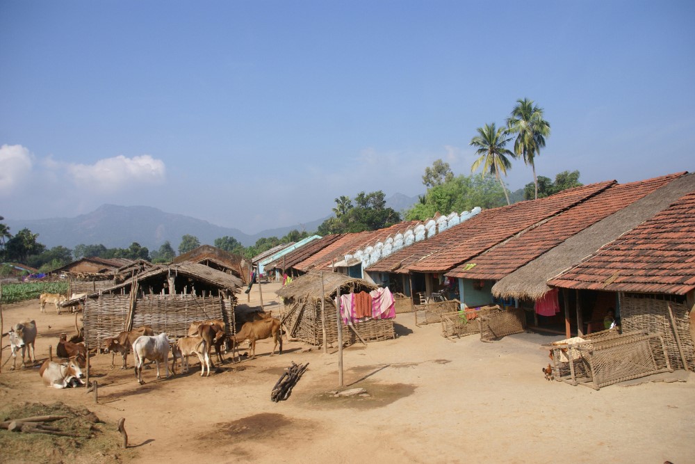 Tribal village in Odisha